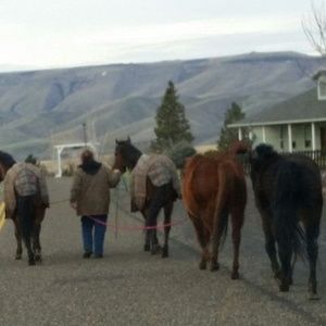 Meet your Posher, Barry